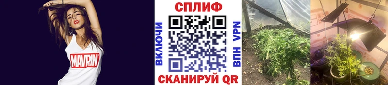Магазин наркотиков Тосно Каннабис  Кокаин  СОЛЬ  Меф 