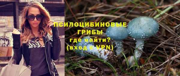 тгк Арсеньев